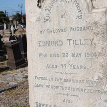 TILLEY :: WILLENBURG