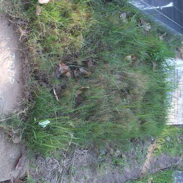 TOPP John -1956 &amp; Hester -1958