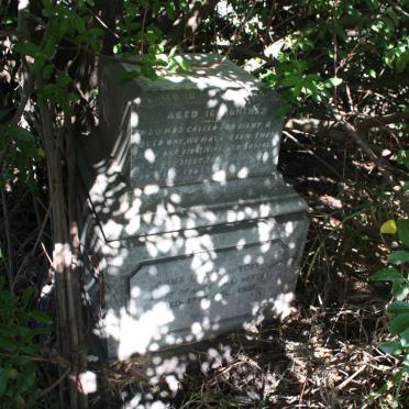 TOIT, du surnames :: DU TOIT vanne