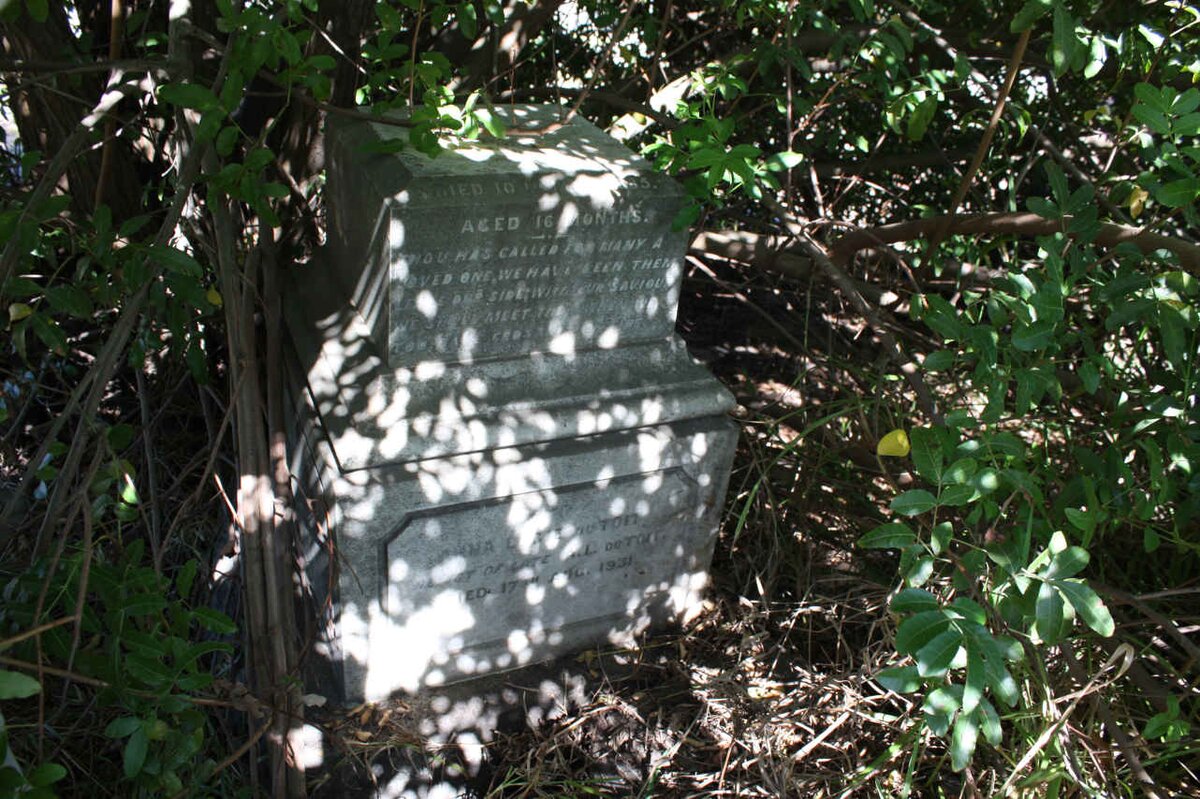 TOIT Anna, du nee LOGIE -1931 :: ??