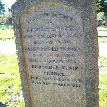 THORNE James Alfred 188?-194? :: THORNE Annie E. -1933 :: THORNE Euphenia 188?-1957