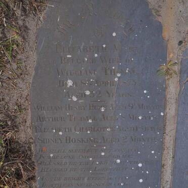 THORNE Elizabeth Mary -1875 :: THORNE William Henry Hume :: THORNE Arthur Tindall