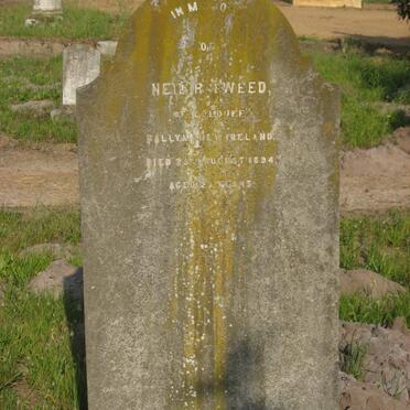 TWEED Neil R. -1894