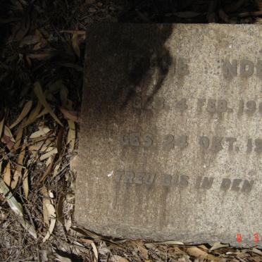 UNDER Ellie 1906-1950