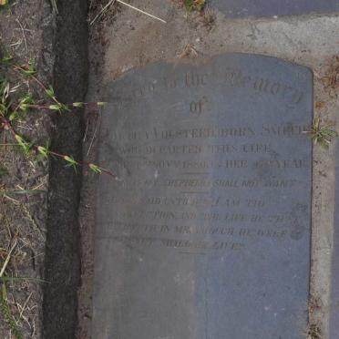 VOLSTEED Martha nee SMITH -1880