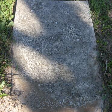 VINE Herbert 1864-1898