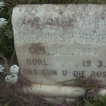 VISSER Johannes P. 1877-1953