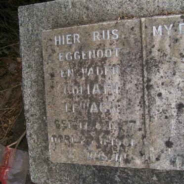 WACK Goliath H. 1887-1961