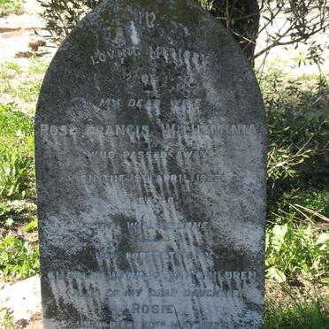 WARD Rose Francis Wilheminia -1923 :: WARD Rosie -1927