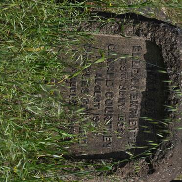 WALLACE Ellen Henrietta -1938 :: WALLACE Gerald Courtney 19?? :: WALLACE Charles Edward 195?