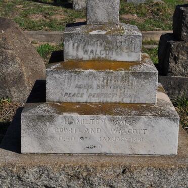 WALCOTT Hamilton Lewis -1911 :: WALCOTT Hamilton James Courtland -1961