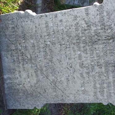 WARD Charles Henry -1905  ::  WARD Annie 1900-1904