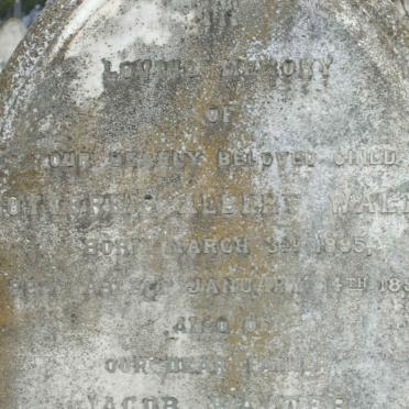 WALTER Gottfreid Albert 1895-1896 :: WALTER Jacob -1901 