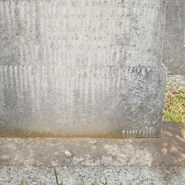 WALKER James -1894 :: DAVIES William Isaac -1894 