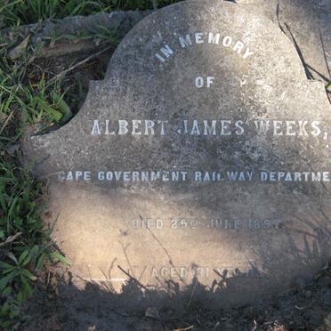 WEEKS Albert James -1897