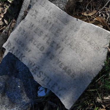 WESTLEY Frank :: HART Anne nee WESTLEY -1931