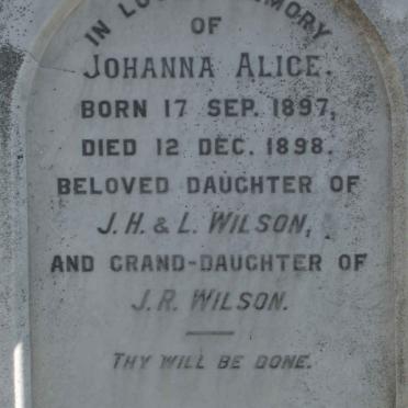 WILSON Johanna Alice 1897-1898