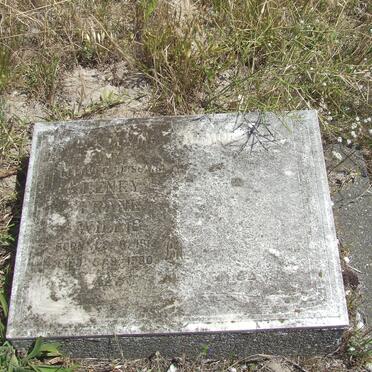 WILLIS Henry Frank 1913-1980