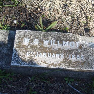 WILLMOTT W.C.  -1895