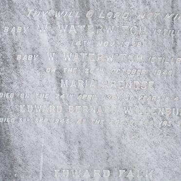 WILLENBURG :: STAVEL :: ARENDSE :: WATERWITCH :: FALK