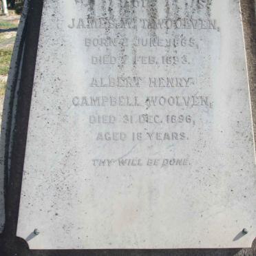 WOOLVEN James W. 1865-1893 :: WOOLVEN Albert Henry -1896