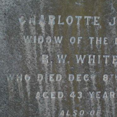 WHITE Charlotte Jane -1894