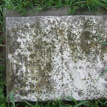 ZYL Cynthia Emelda, van nee HOBBS 194?-19?7