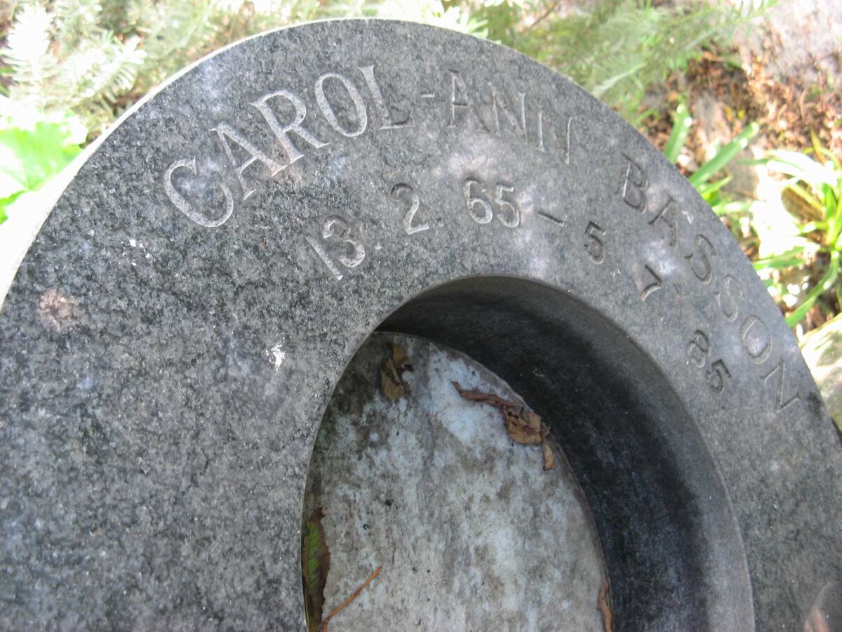 BASSON Carol-Ann 1965-1985