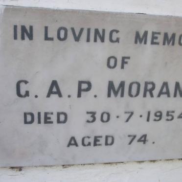 MORANT G.A.P. -1954