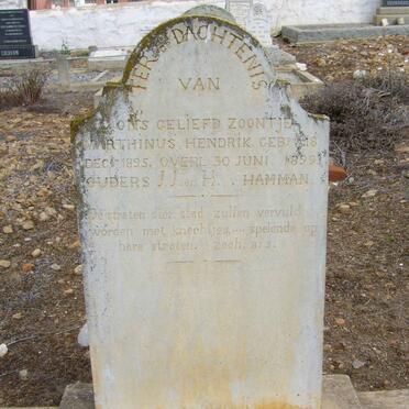 HAMMAN Marthinus Hendrik 1895-1899
