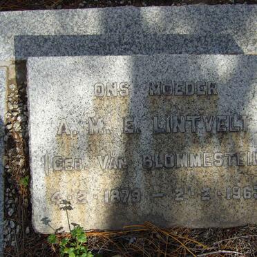 LINTVELT A.M.E. nee VAN BLOMMESTEIN 1879-1963