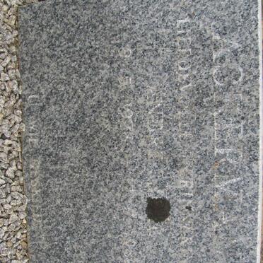 A - Surnames :: Vanne - A