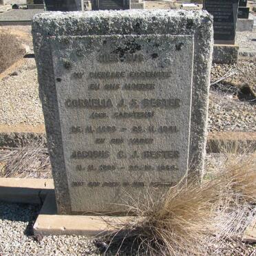 BESTER Jacobus G.J. 1895-1964 &amp; Cornelia J.S. CARSTENS 1893-1941