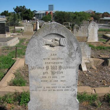 DIPPENAAR Adriana P.W. nee BESTER 1877-1903