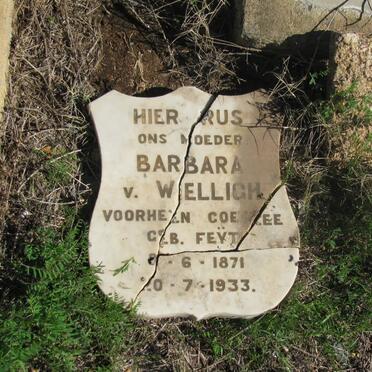 WIELLIGH Barbara, v. nee FEYT 1871-1933