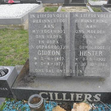 Ci - Surnames starting with the letters Ci