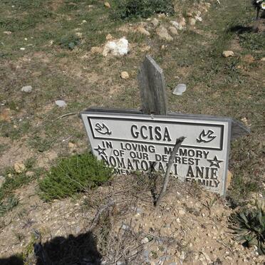 GCISA Nomatokazi Anie