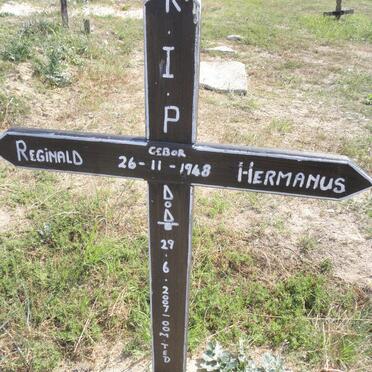 HERMANUS Reginald 1948-2007