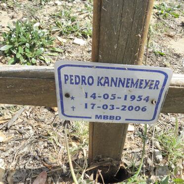 KANNEMEYER Pedro 1954-2006