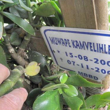 Ka - Surnames starting with the letters Ka