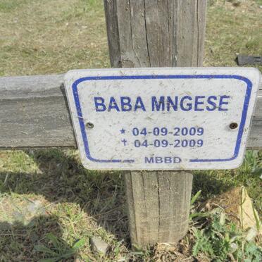 MNGESE Baba 2009-2009