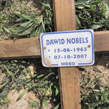 NOBELS Dawid 1965-2007