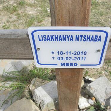 NTSHABA Lisakhanya 2010-2011