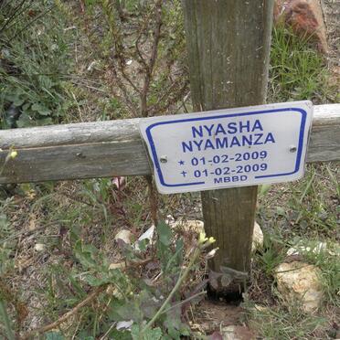 N - Vanne :: Surnames - N