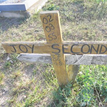 SECONDS Joy 1955-1995