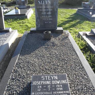 STEYN J.J.F. 1908-1988 &amp; Josephine Dowling 1919-1998