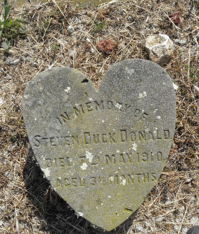 DONALD Steven Duck -1910