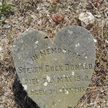 DONALD Steven Duck -1910