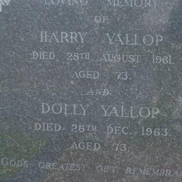 Y - Surnames :: Vanne - Y