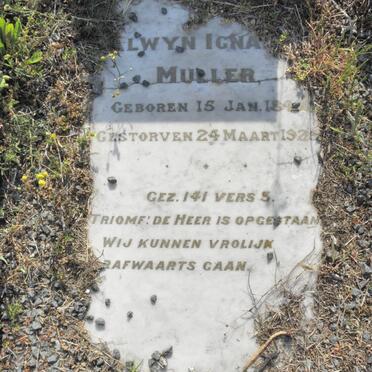 MULLER Alwyn Ignatius 1849-1925